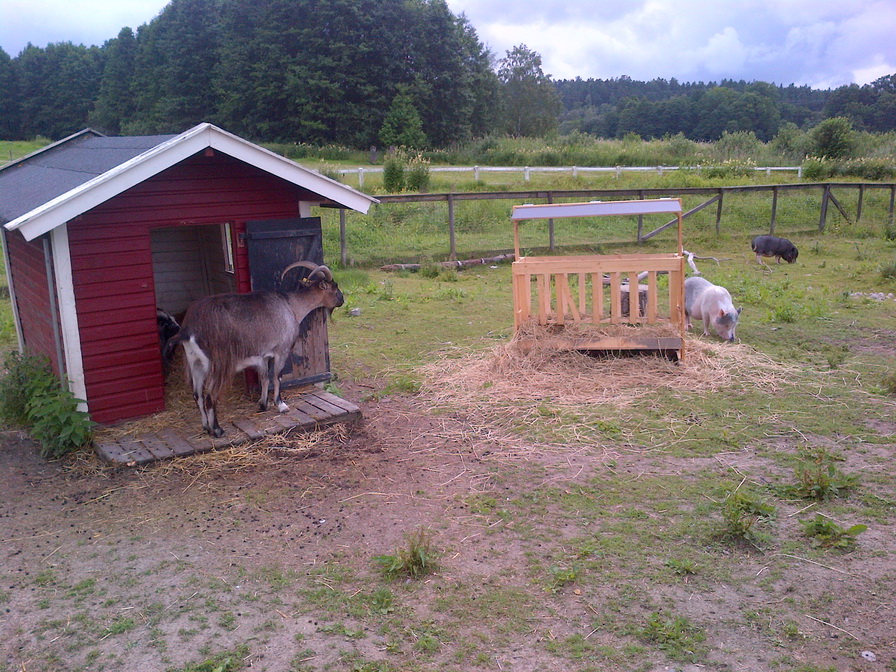 IMG-20120714-02190