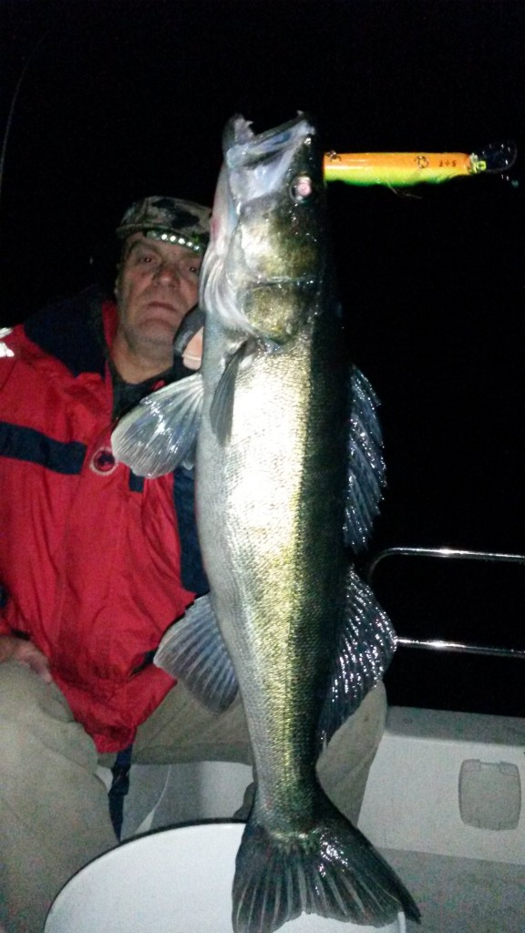 PROFESSIONELLT FISKE I STOCKHOLM